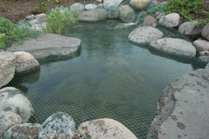 Aquascape Pond Supplies: Protective Pond Netting - 7 Ft X 10 Ft | Part Number 98000 Learn more about Aquascape Pond Supplies at SunlandWaterGardens.com